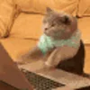 ⌨️